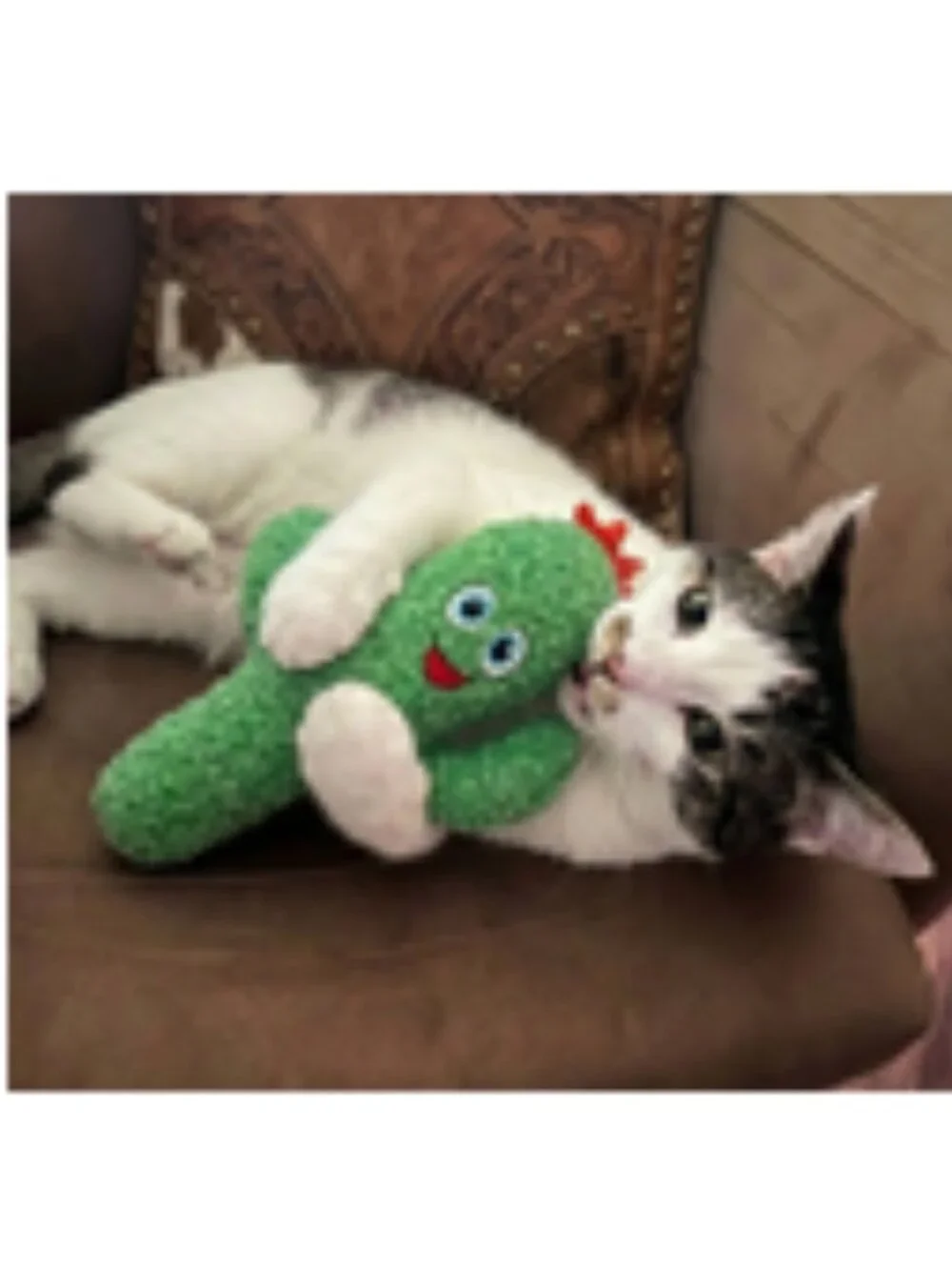 NWT ~ KONG's Kickeroo Oversized Cactus Cat Toy with Catnip & Crinkle